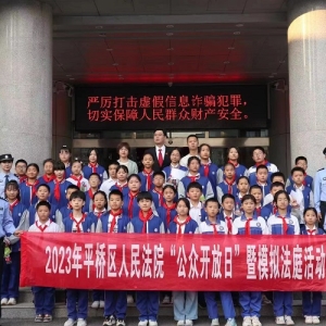 河南省信阳市平桥区第二小学联合平桥区人民法院开展法治教育活动
