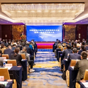 羚锐制药参加河南省现代医药产业联盟成立大会